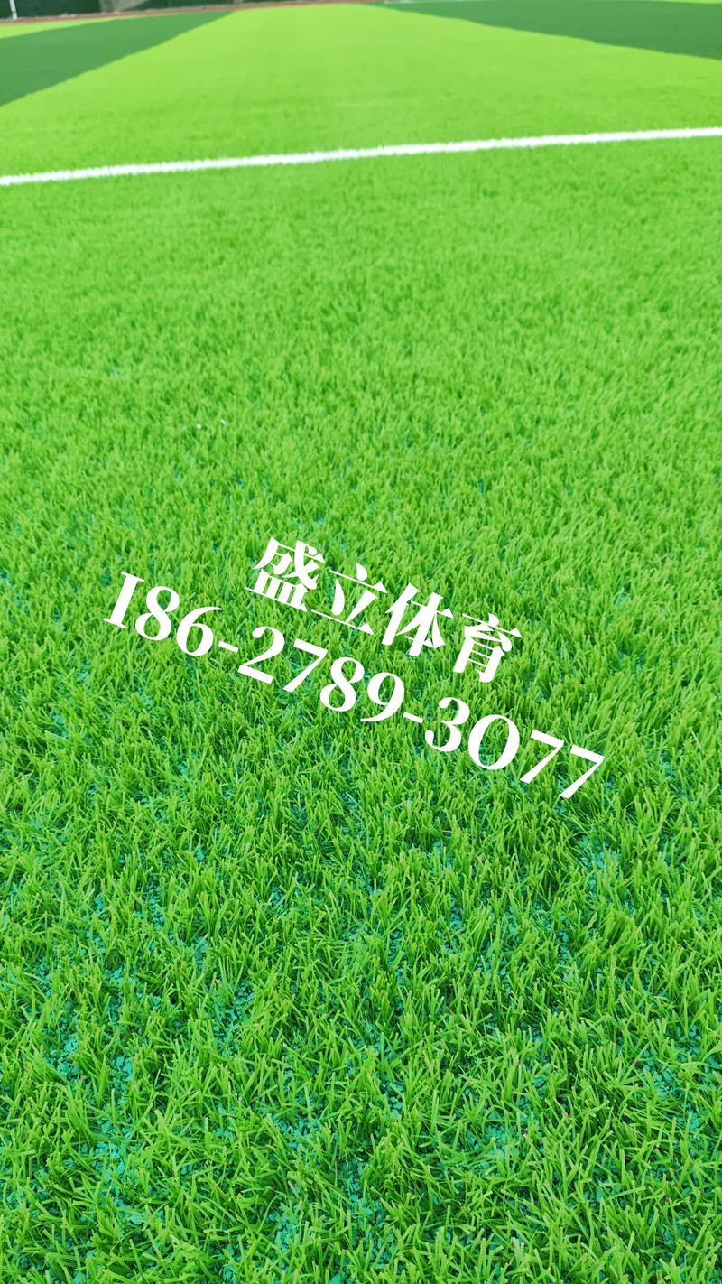 从新手到大师：关于草坪种植的常见问题解答