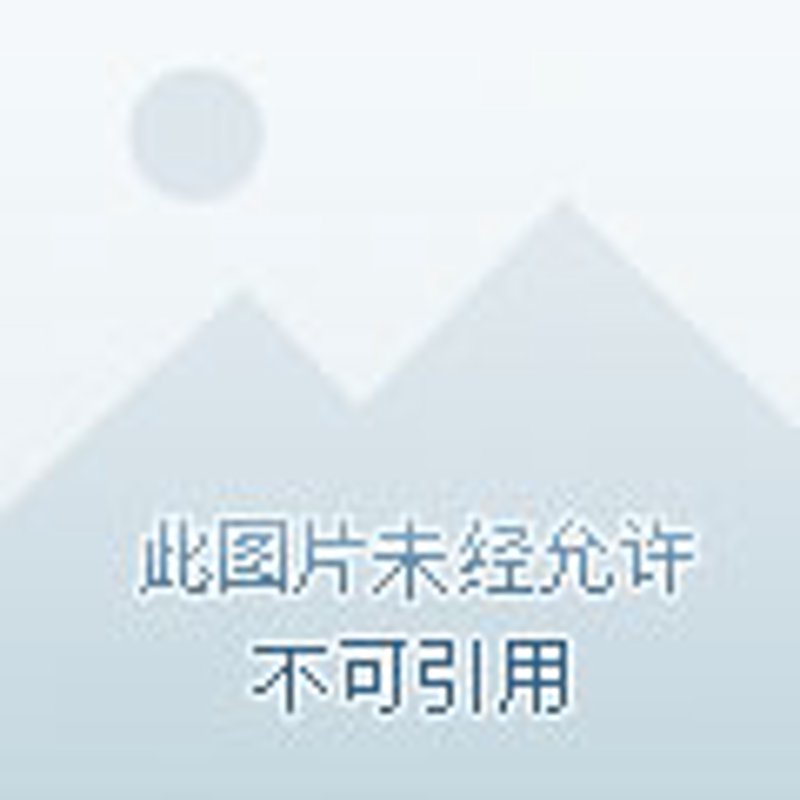 石家庄草坪:绿色生态的新风景